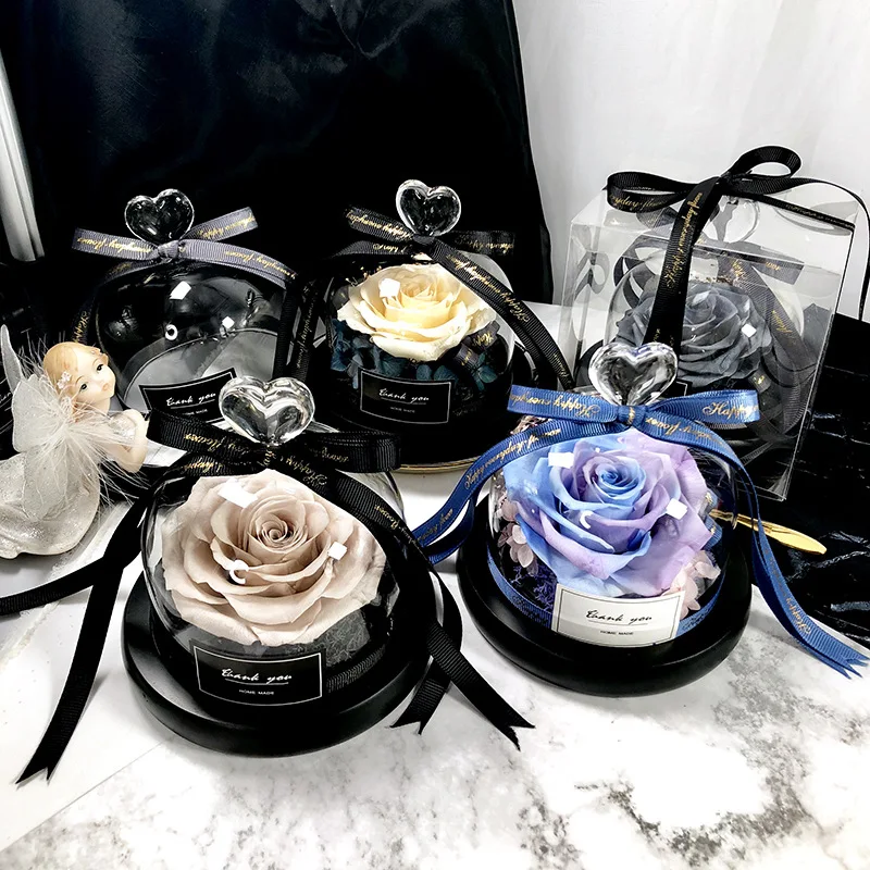 Người Đẹp Và Quái Thú Tiết Kiệ - đánh giá và giá Decor Timeless Lighting