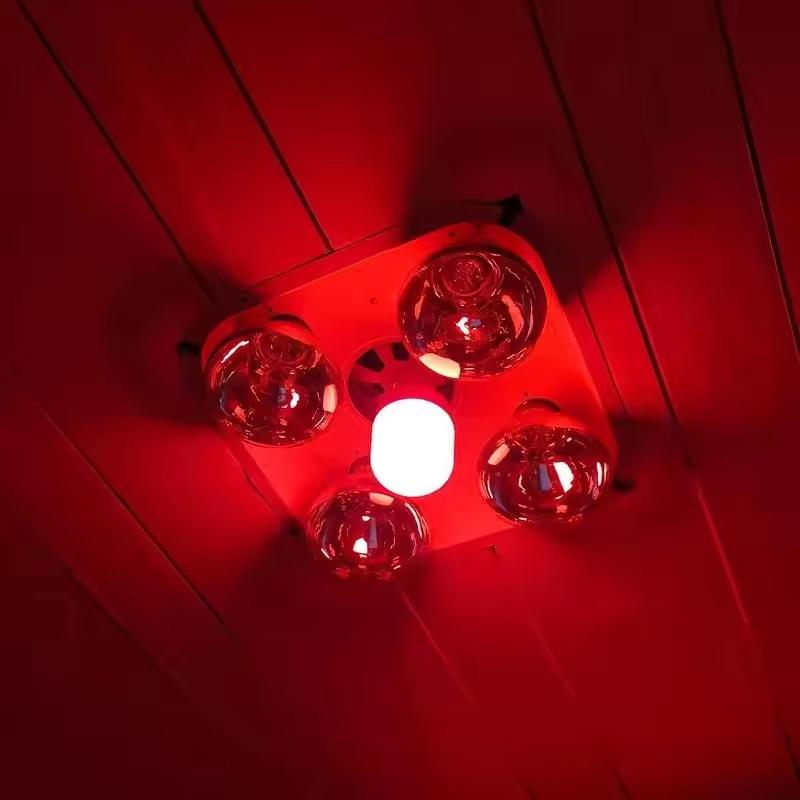 New High Power Red LED Light B - đánh giá và giá Lighting Christmas Decor